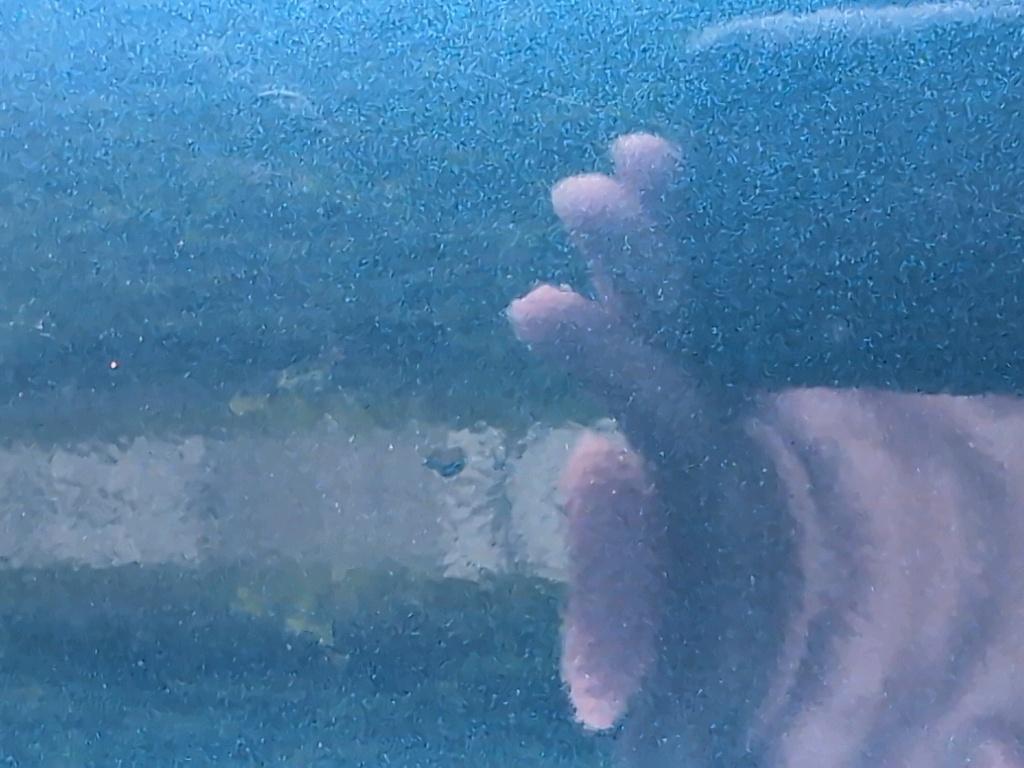 Photo 36