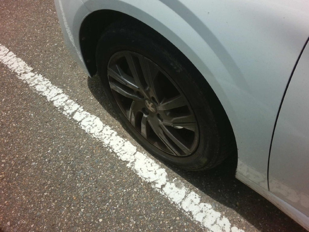 Photo 19