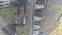 Photo 13