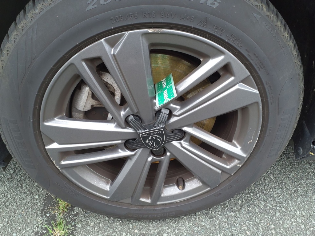 Photo 11
