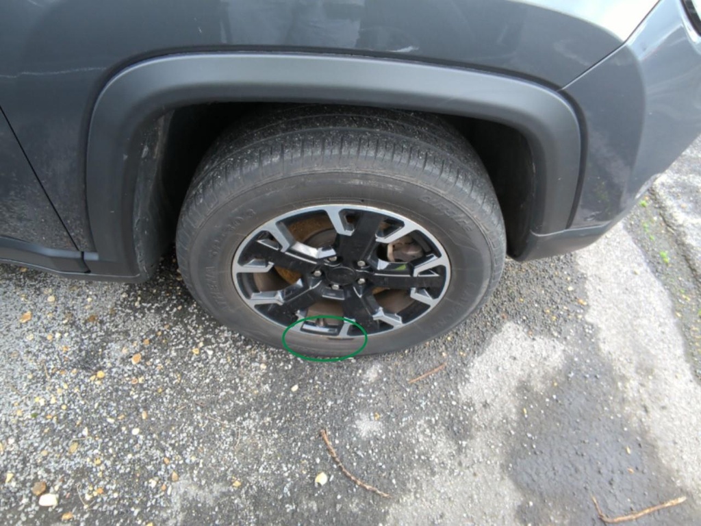 Photo 38