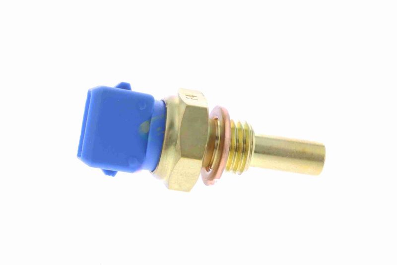 SUPP-183-V20720443 #2