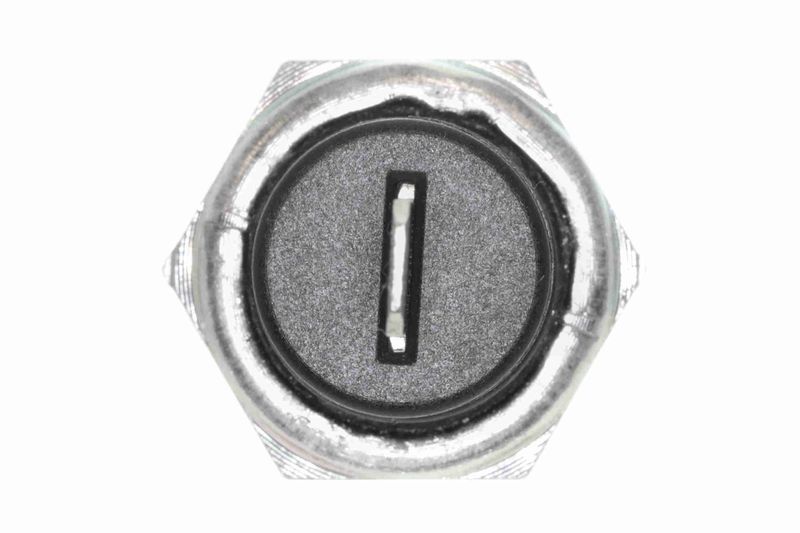 SUPP-183-V24730005 #1
