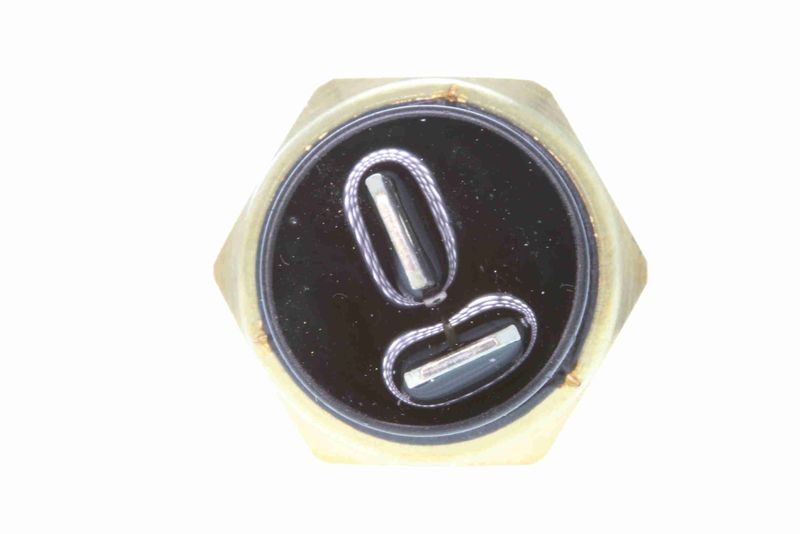 SUPP-183-V24720062 #1