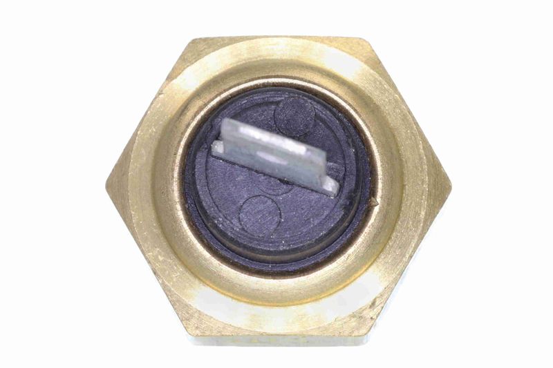 SUPP-183-V24720077 #2