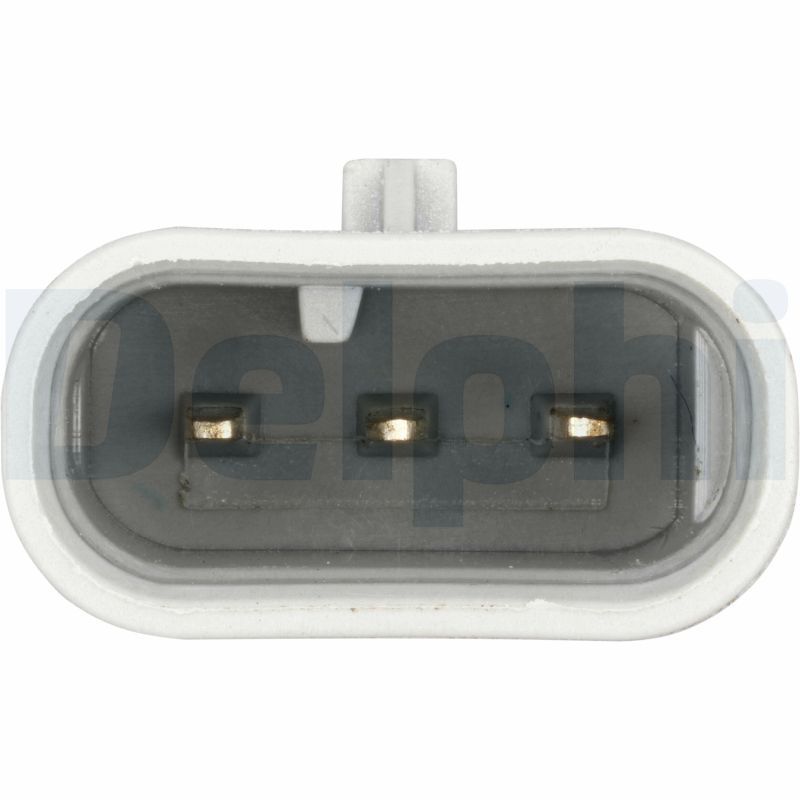 SUPP-89-SS11482 #2
