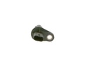 SUPP-30-0261210389 #1