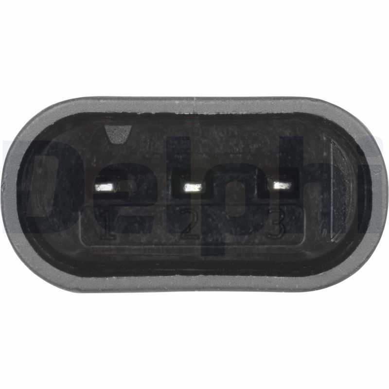 SUPP-89-SS1233912B1 #2