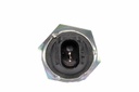 SUPP-94-0910125 #1