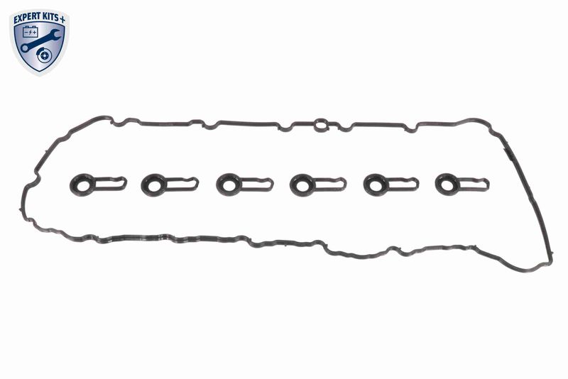 SUPP-162-V204175 #2