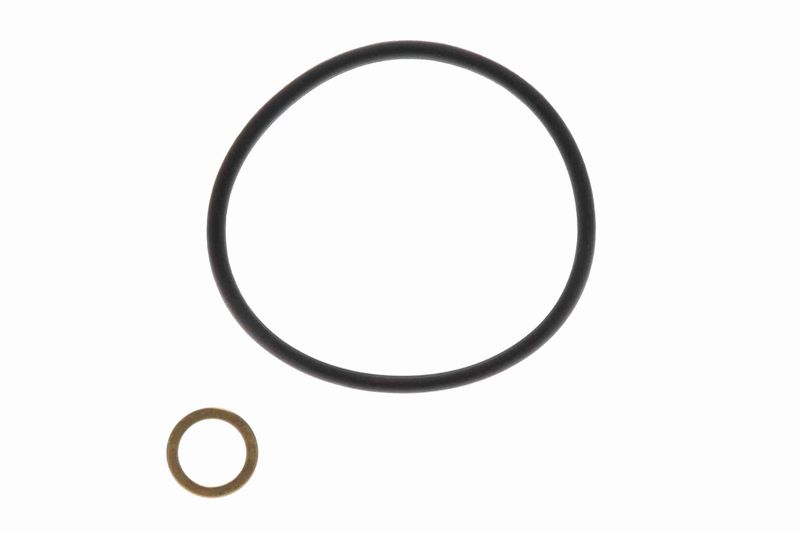 SUPP-162-V204228 #2