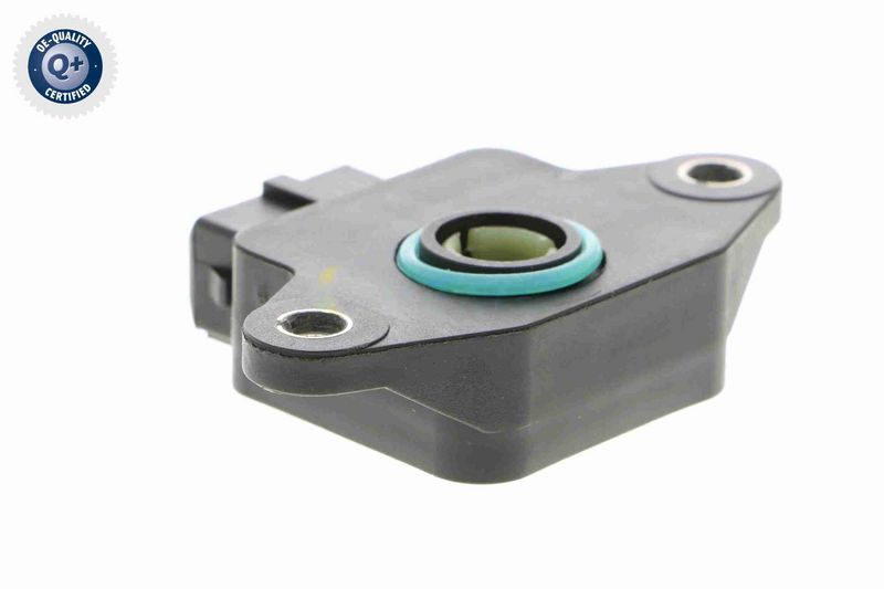 SUPP-183-V22720079 #3