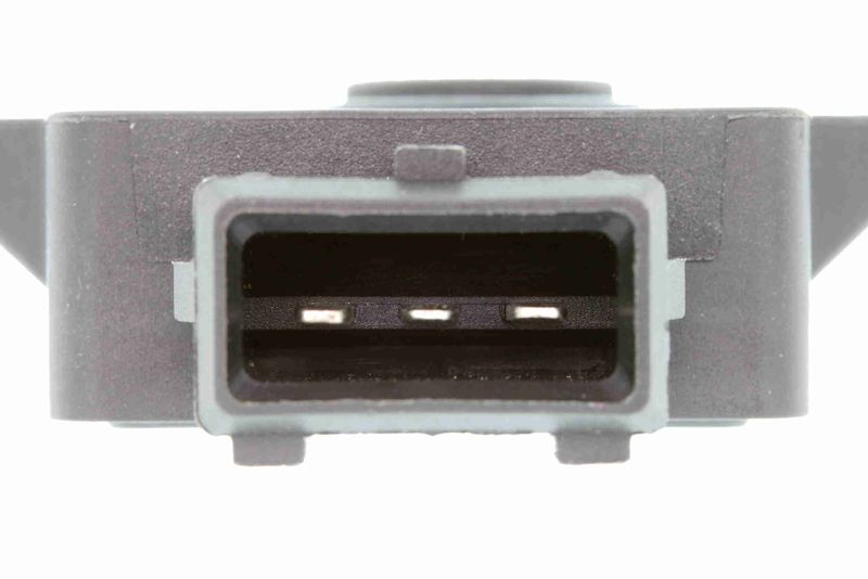 SUPP-183-V40720321 #2