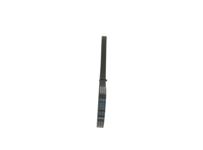 SUPP-30-1987947914 #3