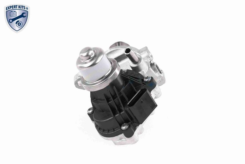 SUPP-183-V20630027 #3