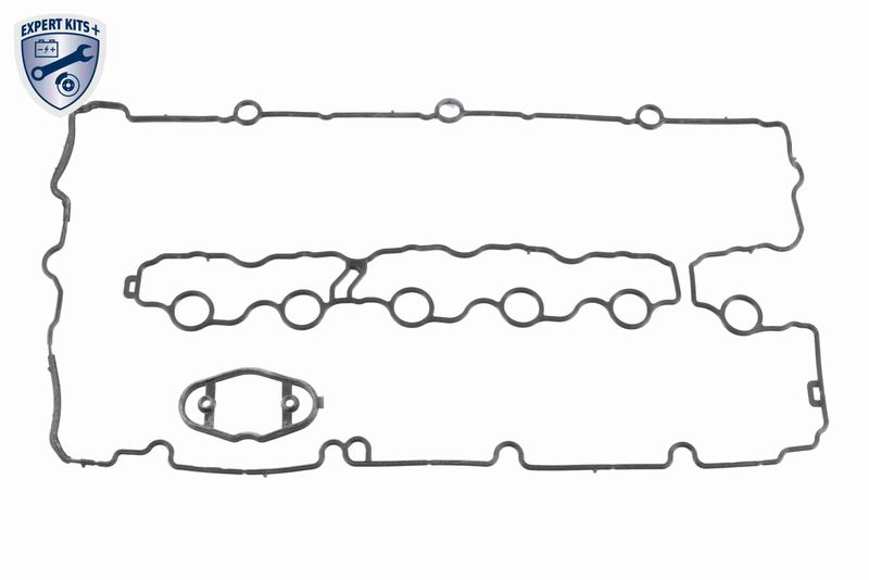SUPP-162-V202179 #2