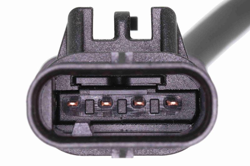 SUPP-183-V20760071 #1
