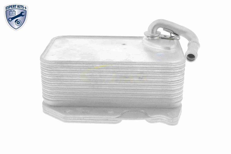 SUPP-183-V15606075 #2
