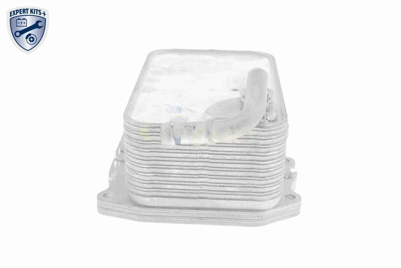 SUPP-183-V15606075 #4