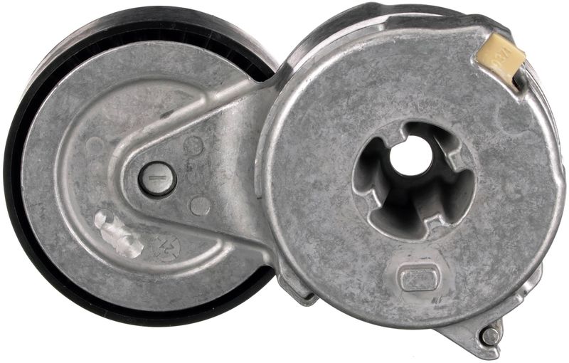 SUPP-33-T39336 #2