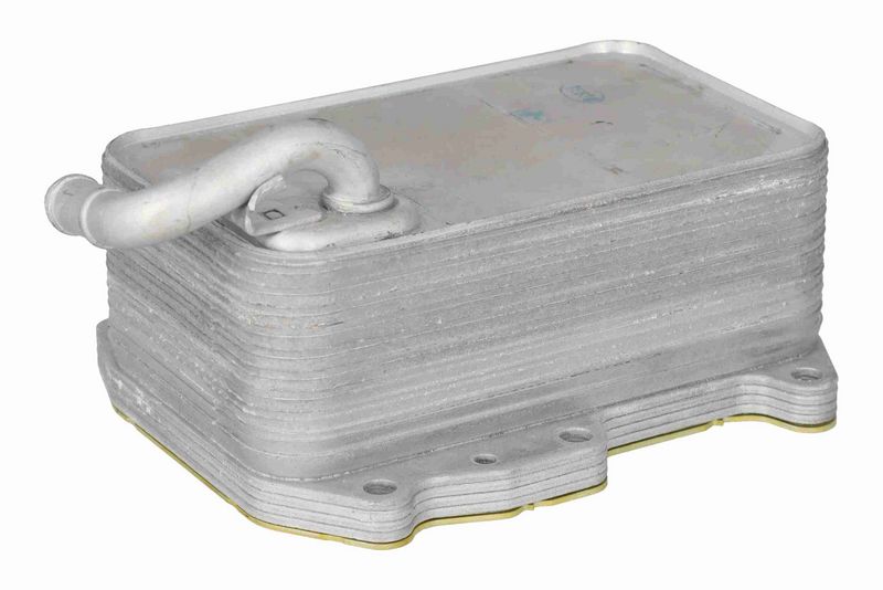 SUPP-183-V10600078 #2