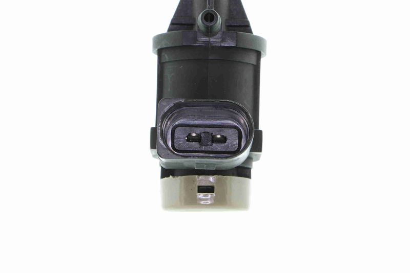 SUPP-183-V10630065 #1