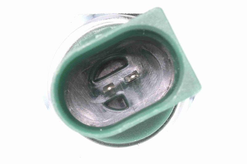 SUPP-183-V10730299 #1