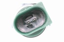 SUPP-183-V10730299 #1