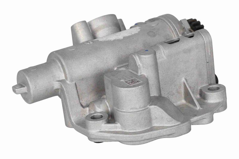 SUPP-162-V10000191 #2