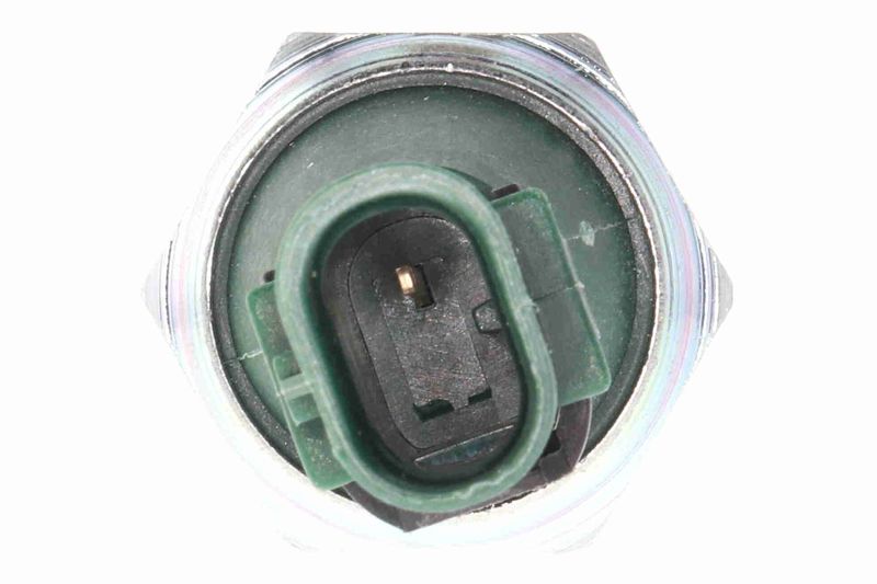 SUPP-183-V10730450 #1