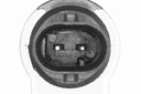 SUPP-183-V10720210 #1