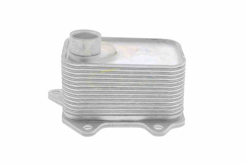 SUPP-183-V15606068 #1