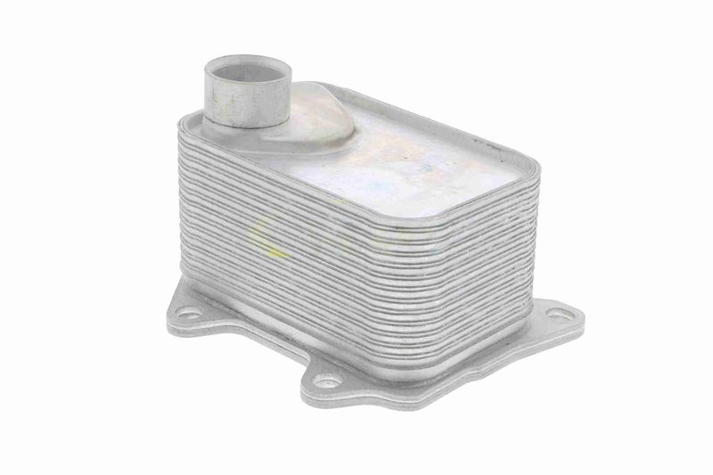 SUPP-183-V15606068 #2