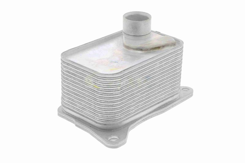 SUPP-183-V15606068 #4