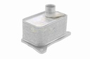 SUPP-183-V15606068 #4