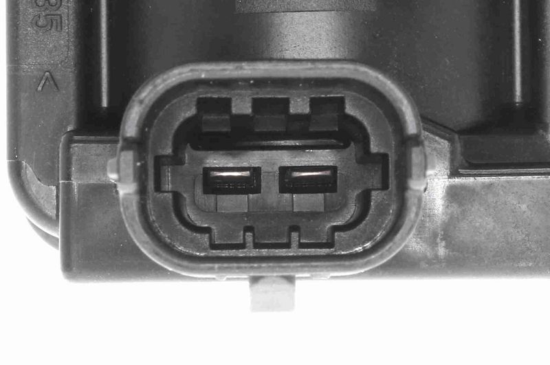 SUPP-183-V24770008 #1