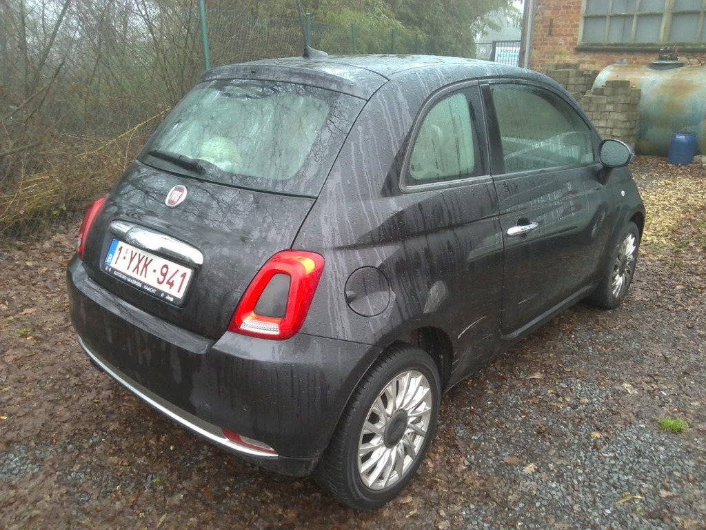 Photo 4