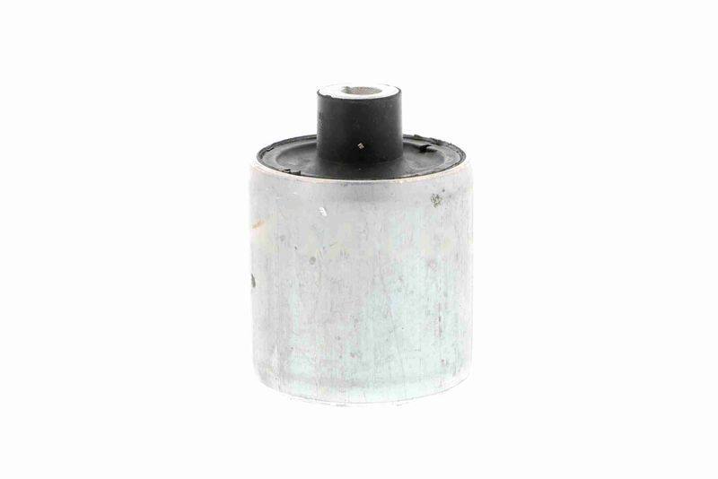 SUPP-162-V202610 #1