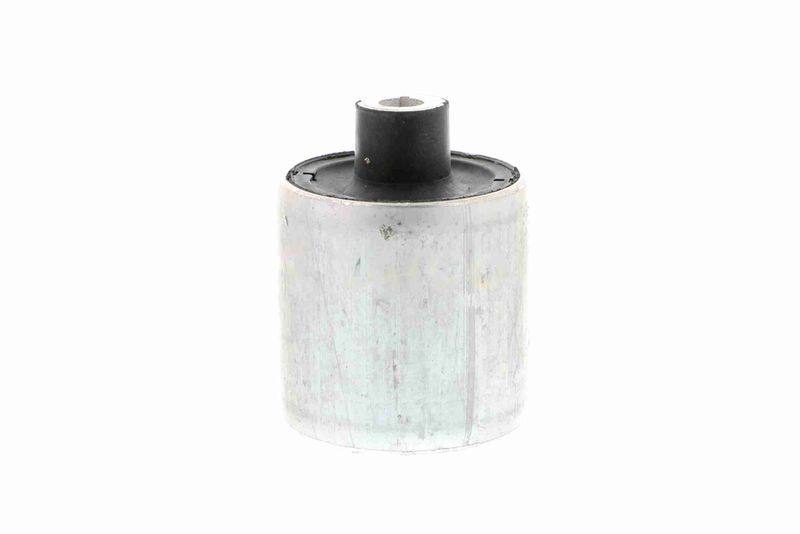 SUPP-162-V202610 #2
