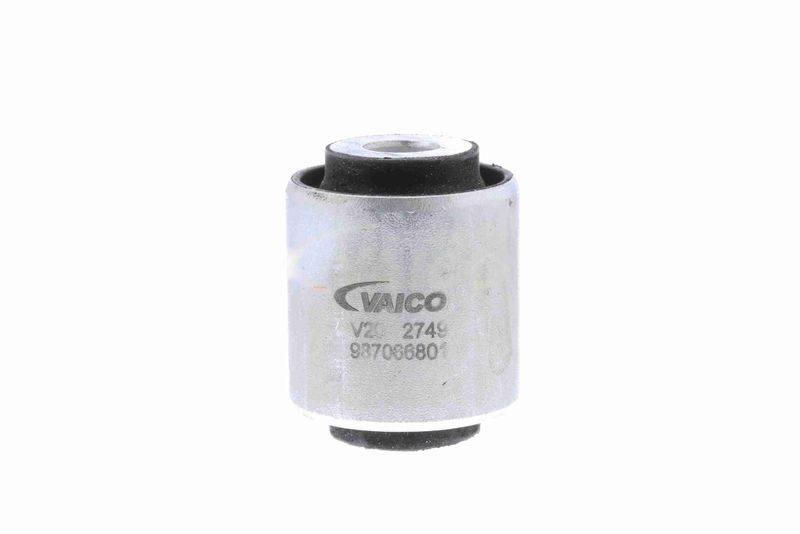 SUPP-162-V202749 #1