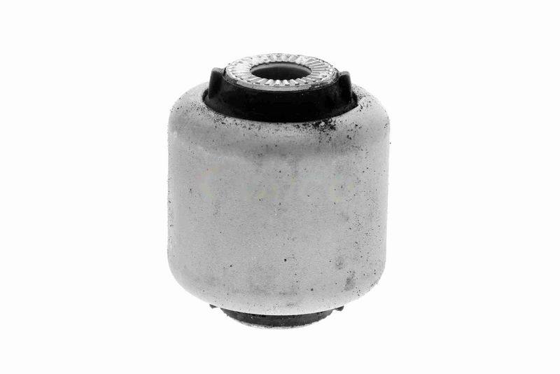 SUPP-162-V202110 #1