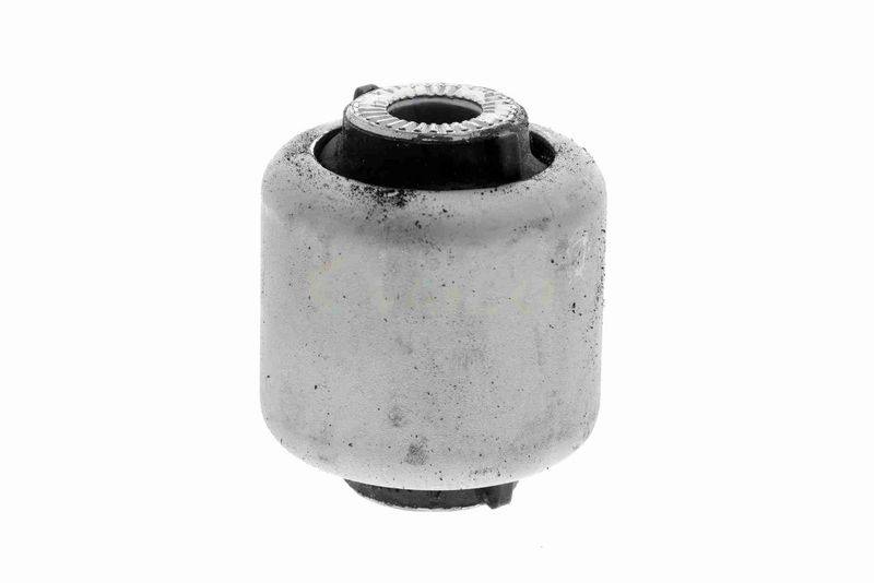 SUPP-162-V202110 #2