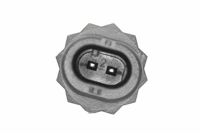 SUPP-183-V20720564 #1