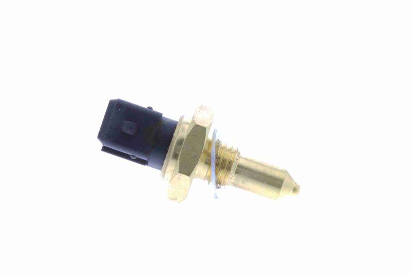 SUPP-183-V20720440 #2