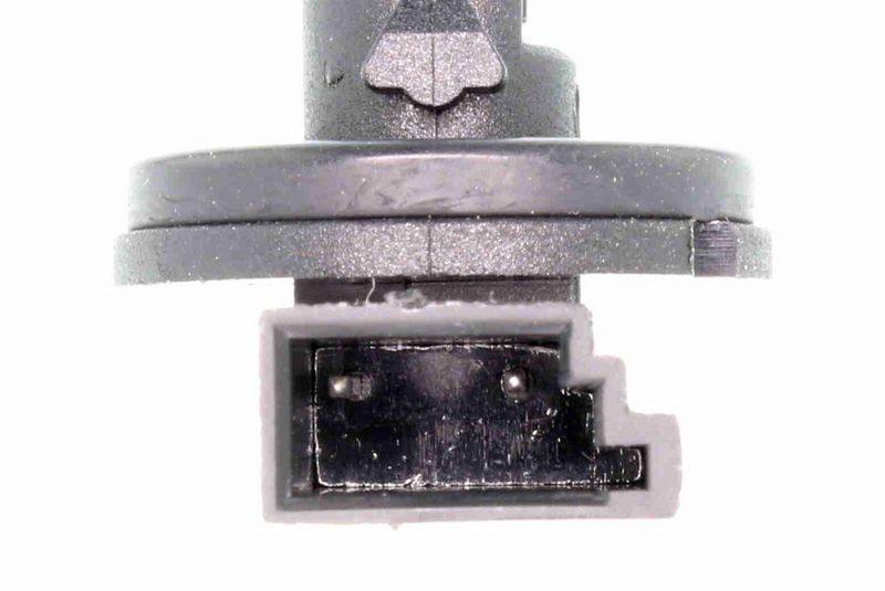SUPP-183-V20720099 #1