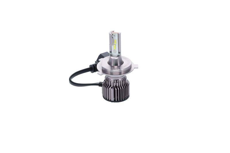 SUPP-30-1987301700 #2