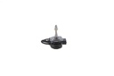 SUPP-30-1987301554 #2