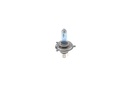 SUPP-30-1987301440 #3