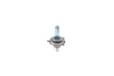 SUPP-30-1987301152 #1