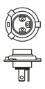 SUPP-30-1987302142 #1